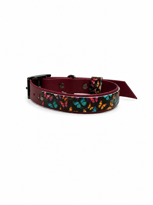Hundehalsband Butterfly